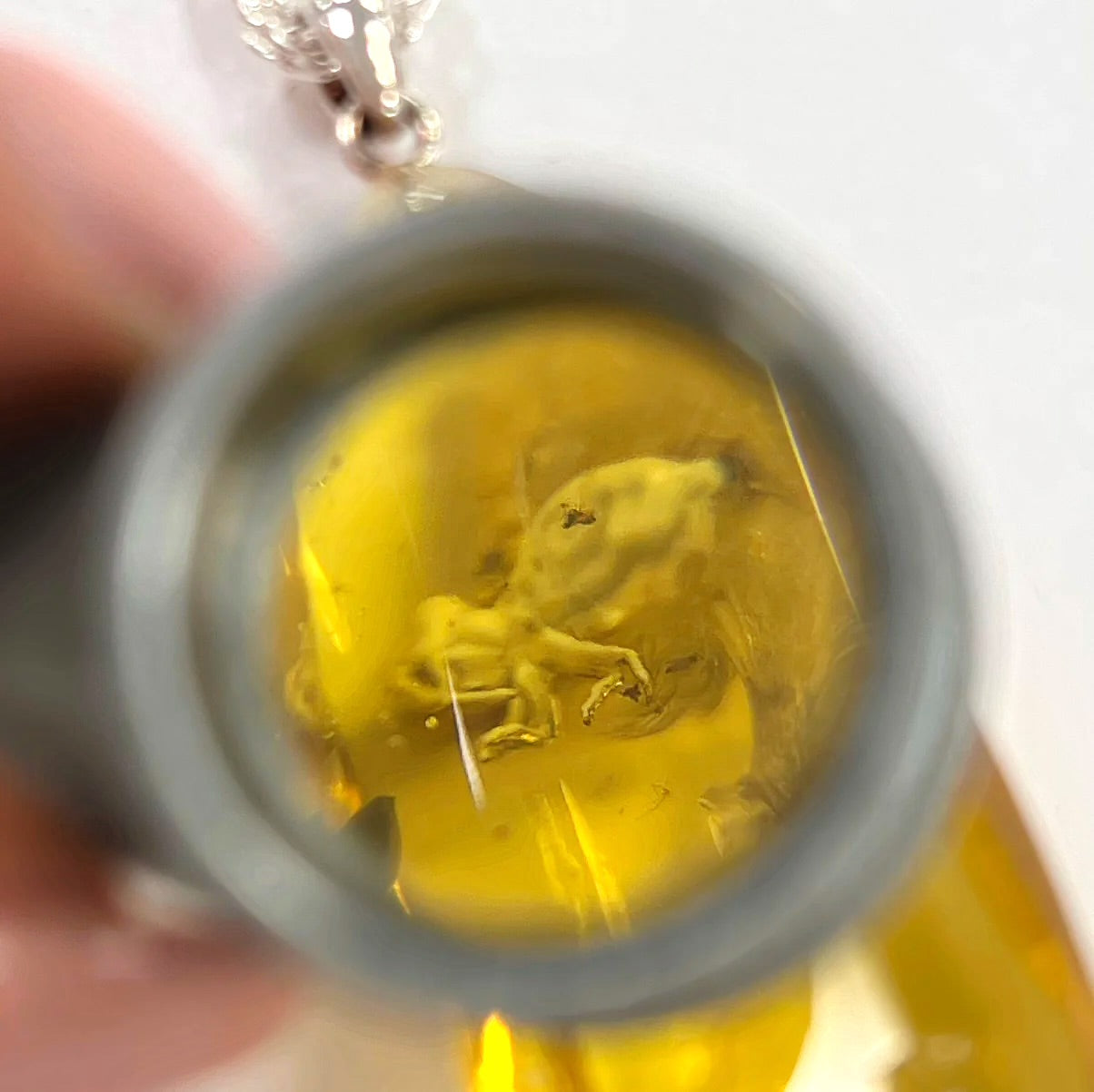Rare Sterling Silver Fossilised Prehistoric ‘Ghost Fly’ Orange Amber Pendant