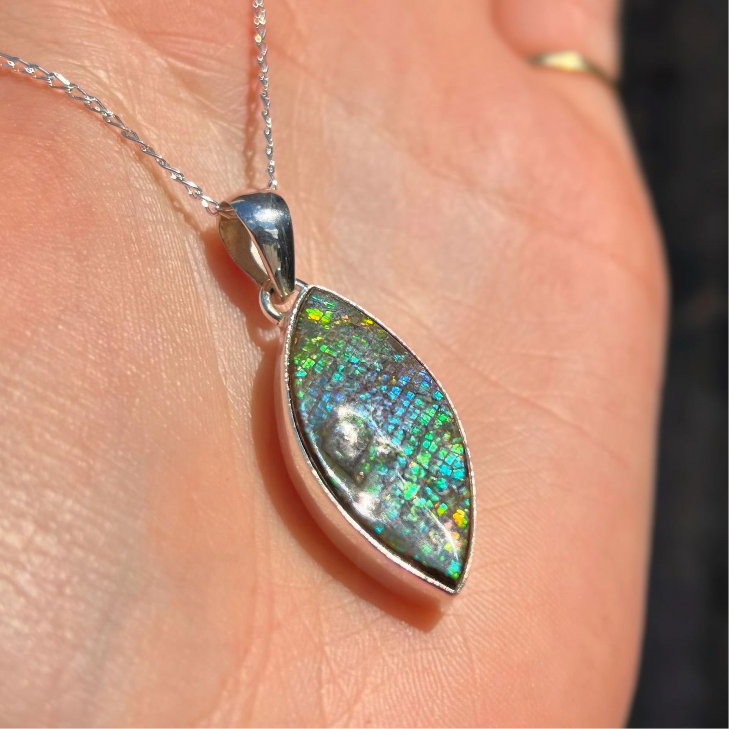 RARE Sterling Silver Fossilied Ammolite Marquise-Shaped Necklace