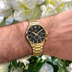 Festina | Timeless Chronograph Gold Steel Black Dial Watch | Gents