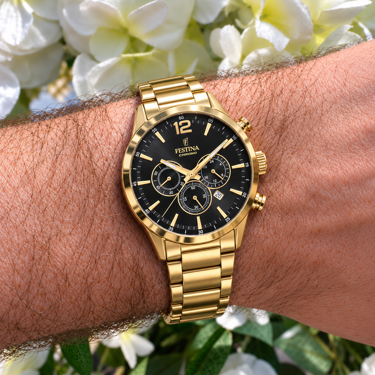 Festina | Timeless Chronograph Gold Steel Black Dial Watch | Gents
