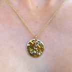 9ct Yellow Gold Plated Star Sign Constellation Necklace