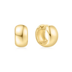 Pre-Order | Small Gold Chubby Huggie Hoop Earrings | Ania Haie