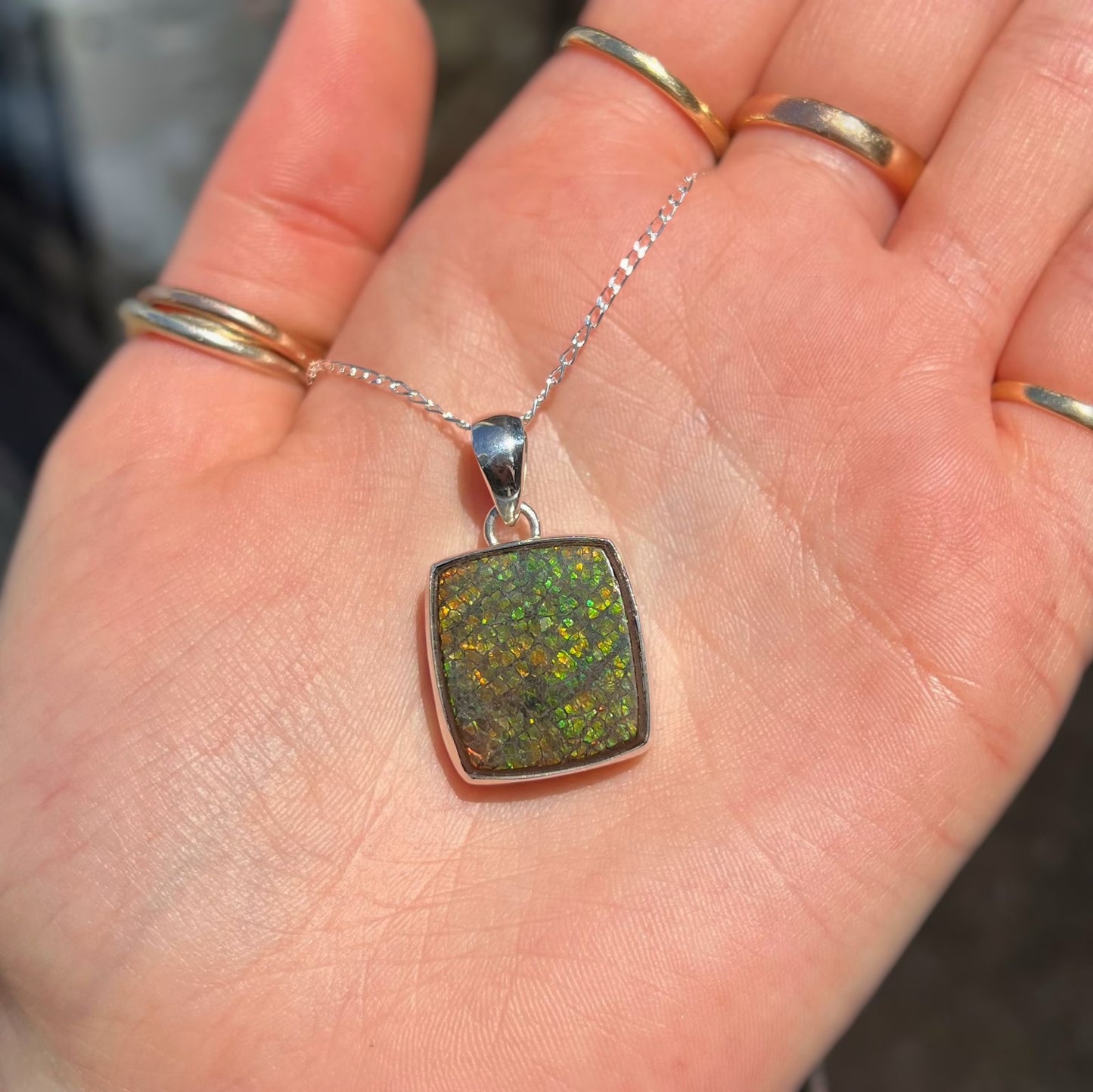 RARE Sterling Silver Fossilied Ammolite Square Shaped Necklace