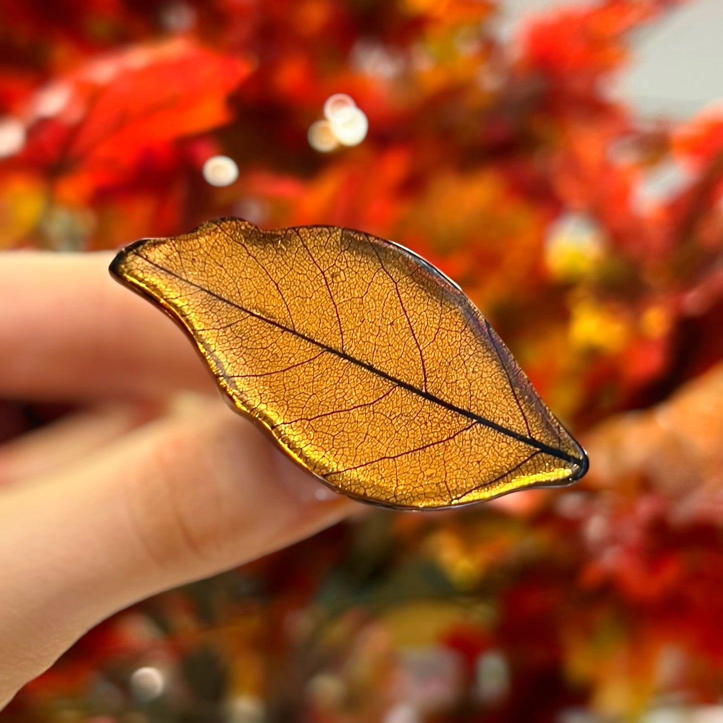 ‘Watch This Space’ Orange Leaf Brooch