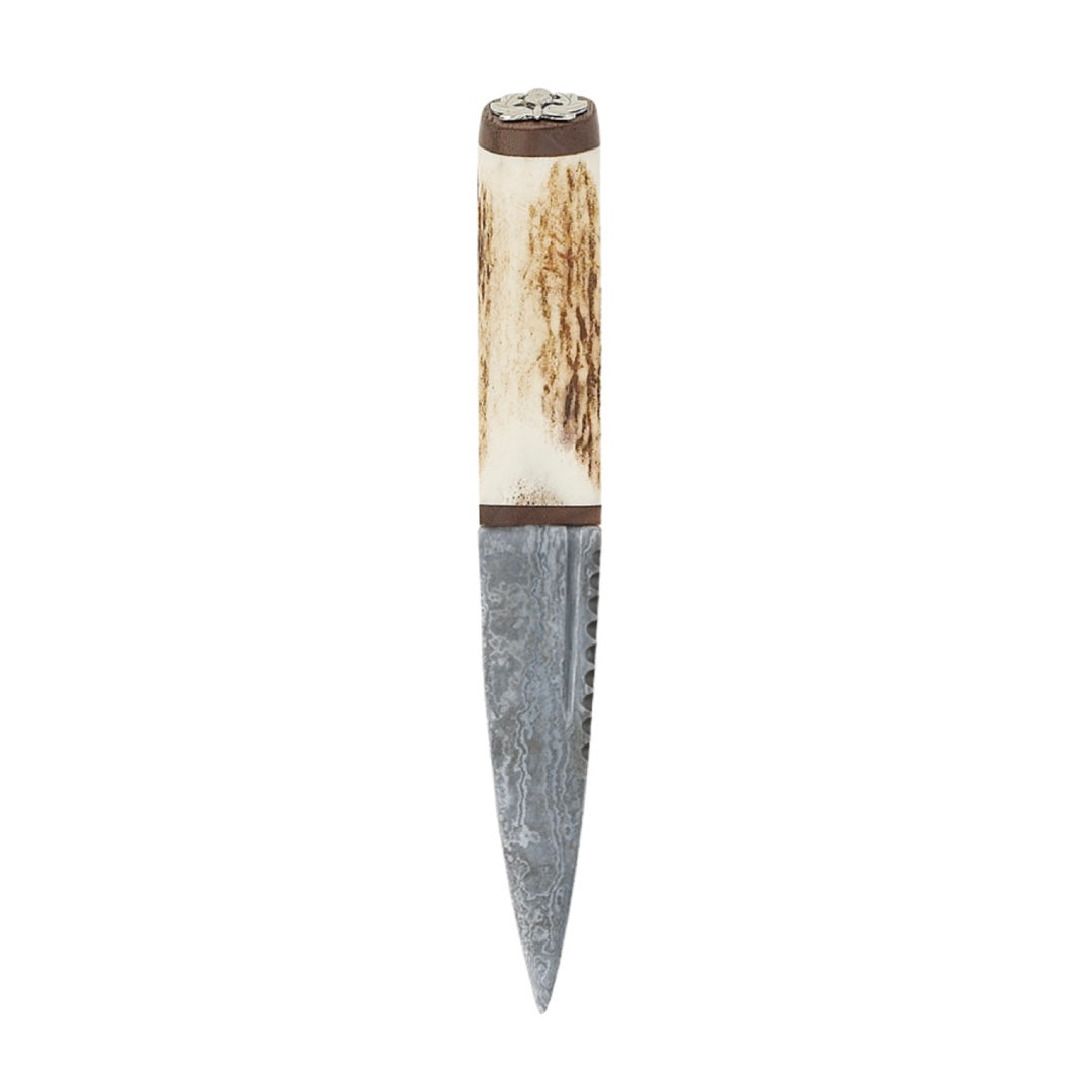 Scottish Staghorn Damascus Blade Sgian Dubh with Brown Leather Sheath