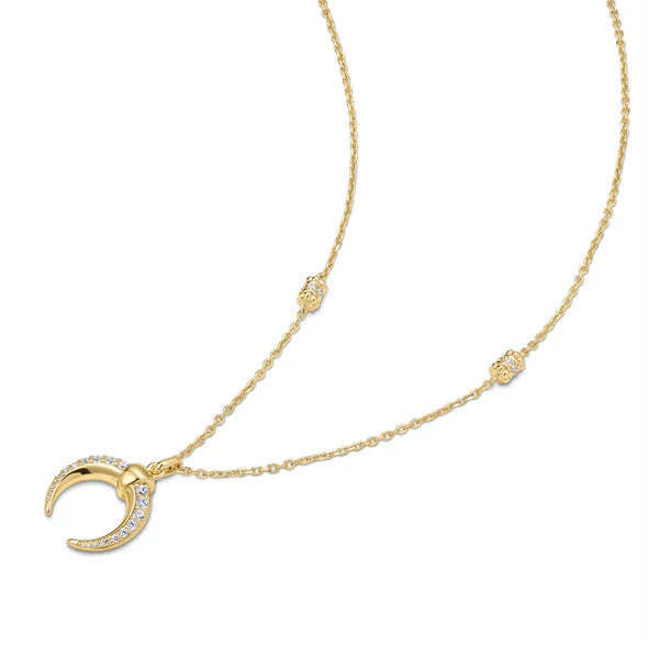 Gold Reversible Horn Necklace | Ania Haie
