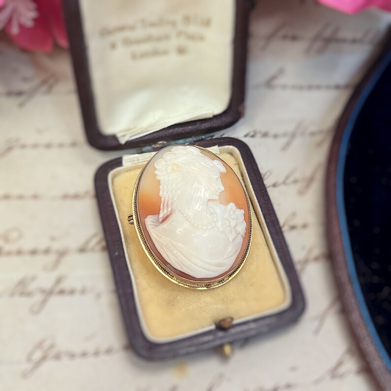 Victorian Ladies Portrait Cameo Brooch