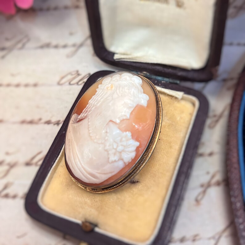 Victorian Ladies Portrait Cameo Brooch