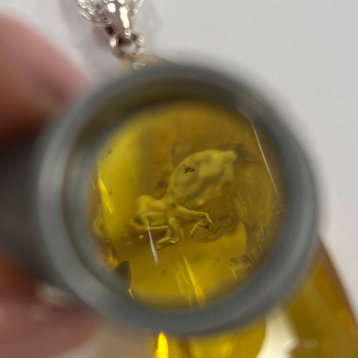 Sterling Silver "Ghost Fly" Amber Pendant